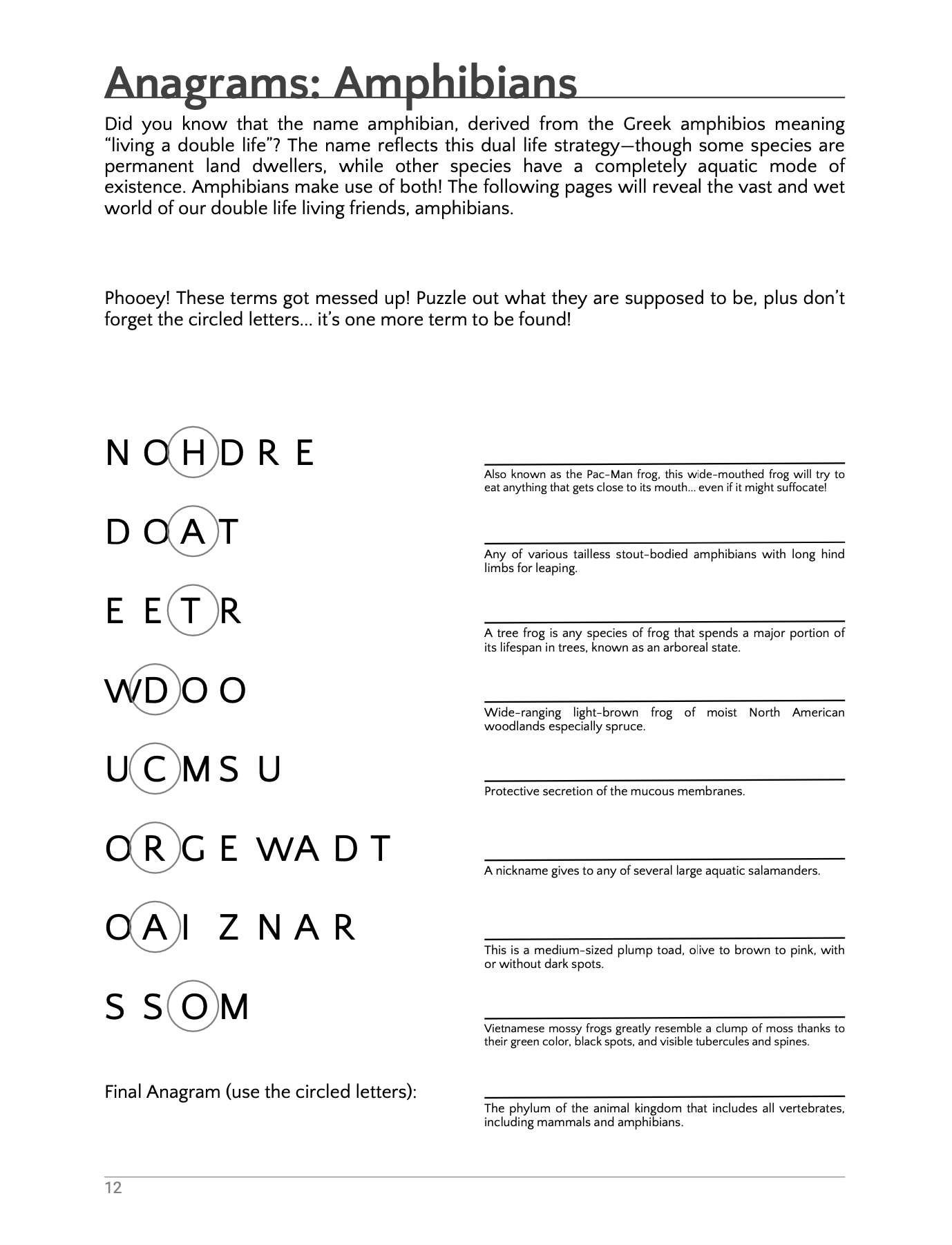 Premium Personalized Animal Activity Book